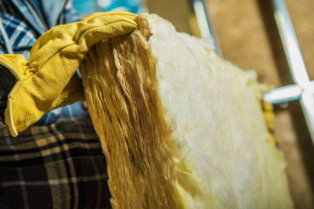 Best Eco-Friendly Insulation in Wayne Heights, PA