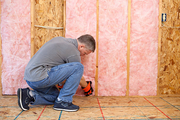 Best Residential Insulation in Wayne Heights, PA